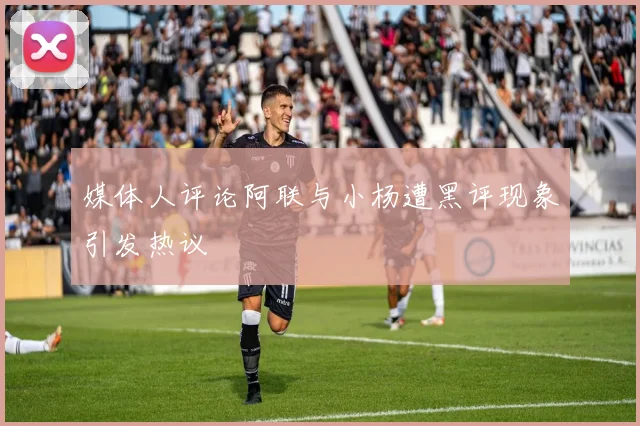 媒体人评论阿联与小杨遭黑评现象引发热议