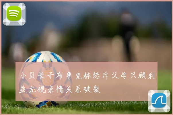 小贝长子布鲁克林怒斥父母只顾利益无视亲情关系破裂