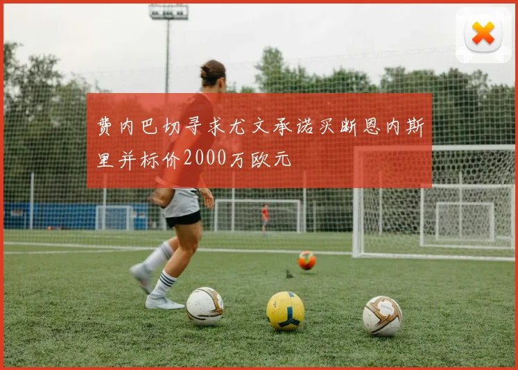 费内巴切寻求尤文承诺买断恩内斯里并标价2000万欧元